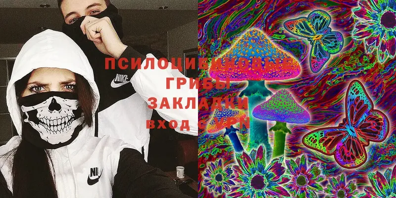 Галлюциногенные грибы MAGIC MUSHROOMS  купить наркотики сайты  Михайловск 